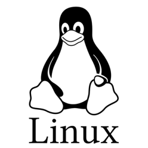 Linux Kernel 5.19将优化exFAT、EXT4 和 XFS 文件系统