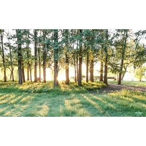  电动工具行业市场调研 电动工具未来发展趋势预测