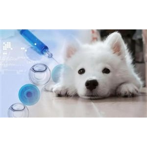  拖鞋市场现状及前景分析2022