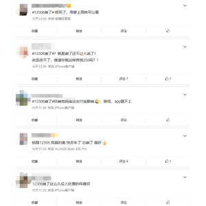 APP“崩了”？12306回应：未接到大面积投诉、或因网络延迟