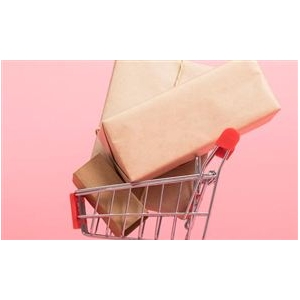  家政行业市场深度分析及发展规划