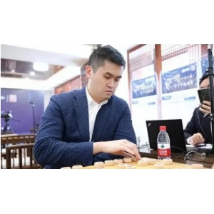 买棋卖棋操纵比赛，“中国象棋第一人”王天一被终身禁赛，撤销所有技术等级称号 