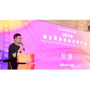 汪涛：致力于IP影视化，推动短剧行业优质内容开发 